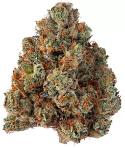 avaay Khalifa 32/1 KK – Khalifa Kush – Produktbild des Anbieters Dr. Ansay