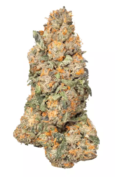 CRQSH GKY 30/1 – Gas Monkey – Produktbild des Anbieters Dr. Ansay