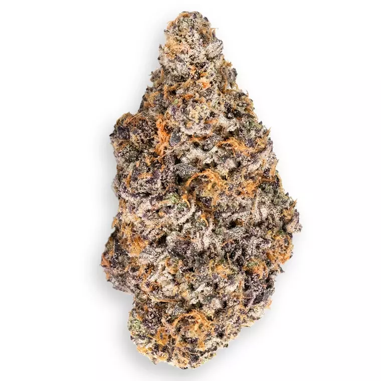 Barongo 28/1 TRD – Rainbow Pie – Produktbild des Anbieters Dr. Ansay