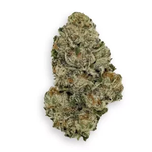 Barongo 18/1 WG – Gelato 41 – Produktbild des Anbieters Dr. Ansay