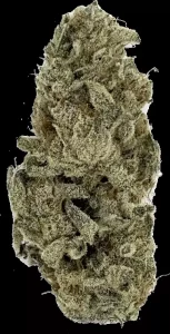 Barongo 30/1 Dynamo – Kush Cake – Produktbild des Anbieters Dr. Ansay