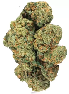 ZOIKS 33/1 LKV2 – Lime Kush 2.0 – Produktbild des Anbieters Dr. Ansay