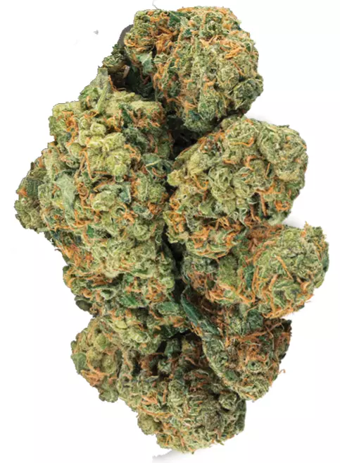 ZOIKS 33/1 LKV2 – Lime Kush 2.0 – Produktbild des Anbieters Dr. Ansay