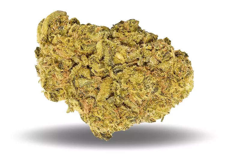 PHENO Cannabisblüten 22/1 IZD – Inzane Diesel – Produktbild des Anbieters Dr. Ansay