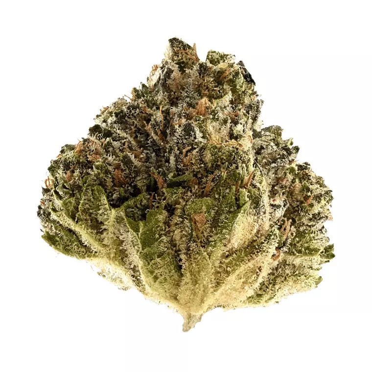 TRUU GT 23:01 – Crumbled Lime #27 – Produktbild des Anbieters Dr. Ansay