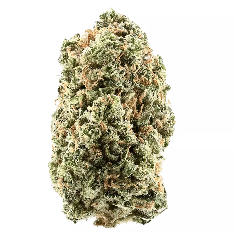 Demecan Siggis HBLT 22:01 – Holunderblüte – Produktbild des Anbieters Dr. Ansay