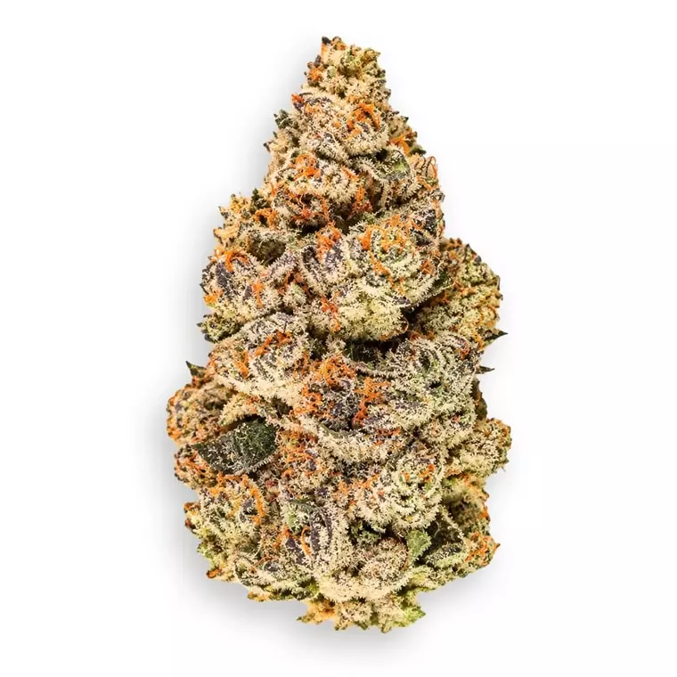Buuo 24/1 ZS (smalls) – Zoy Sauce – Produktbild des Anbieters Dr. Ansay