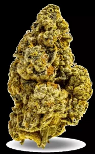 AphriaRX Cannabisblüten THC28 CTB – Cactus Breath – Produktbild des Anbieters Dr. Ansay