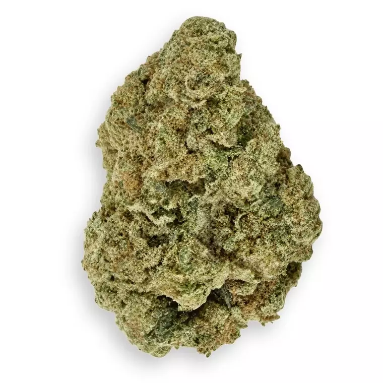 Coyote Valley 24/1 GPN – Granny’s Punch – Produktbild des Anbieters Dr. Ansay