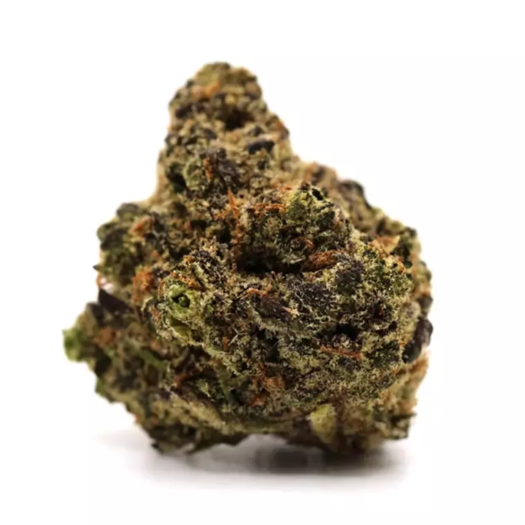 LOT 420 OC – Orange Cake – Produktbild des Anbieters Dr. Ansay