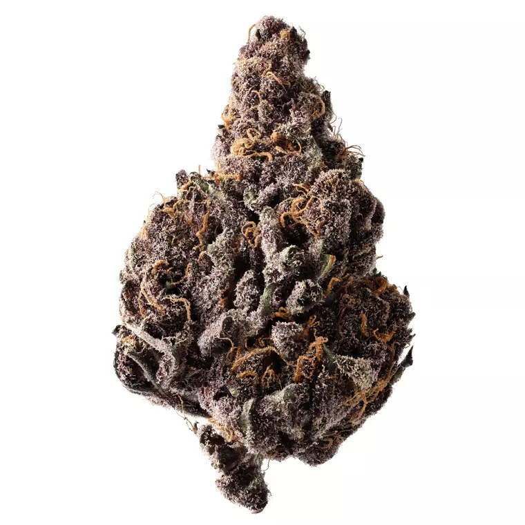 Siggis KBLT 18:1 – Siggis Kirschblüte – Produktbild des Anbieters Dr. Ansay