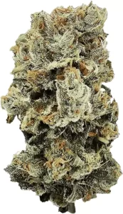 swiss bliss 17/1 – Motor Breath – Produktbild des Anbieters Dr. Ansay
