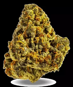 AphriaRX Cannabisblüten THC25 AMH – Amnesia Haze – Produktbild des Anbieters Dr. Ansay