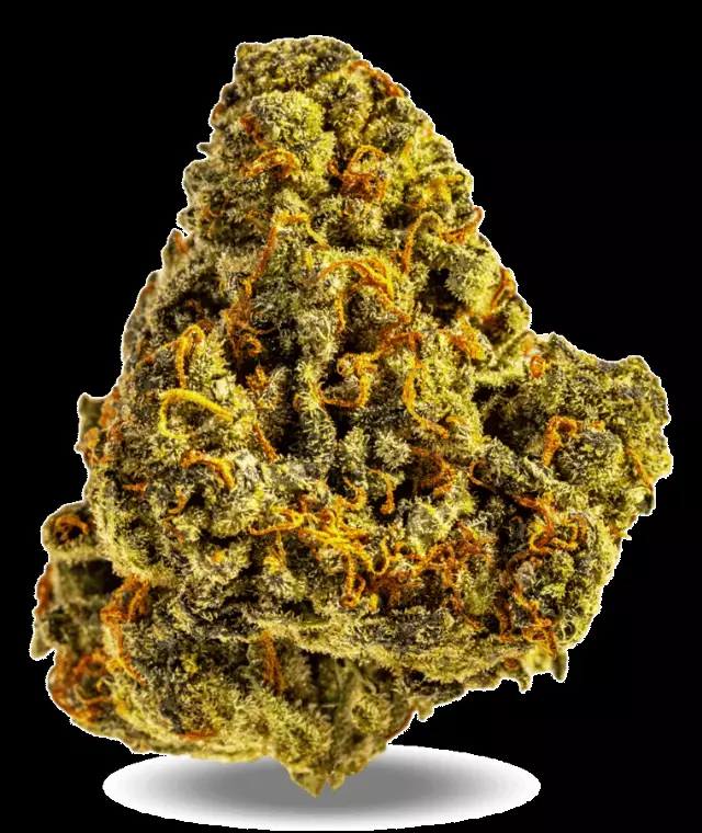 AphriaRX Cannabisblüten THC25 AMH – Amnesia Haze – Produktbild des Anbieters Dr. Ansay