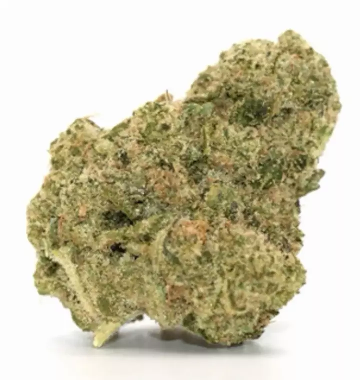 Green Karat SD 26/1 – Supreme Diesel – Produktbild des Anbieters Dr. Ansay