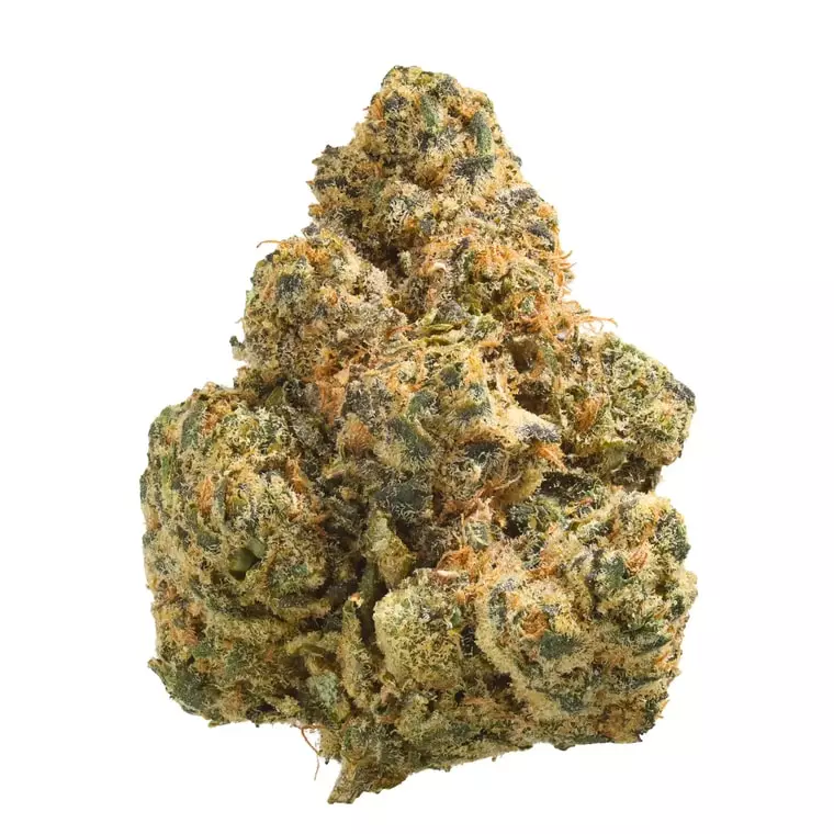 Origine Nature OC 30/1 – Orange Cream – Produktbild des Anbieters Dr. Ansay