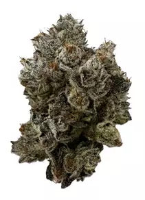 CRQSH CLN 27/1 – Colorado Nightshifter – Produktbild des Anbieters Dr. Ansay