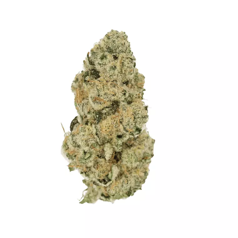 Cannamedical Sativa Ultimate NM – Blue Lavender – Produktbild des Anbieters Dr. Ansay