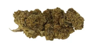 Cannamedical CM 20/1 GG4 – Gorilla Glue #4 – Produktbild des Anbieters Dr. Ansay
