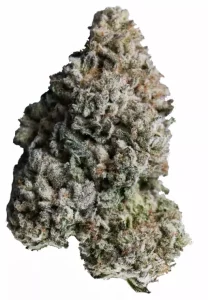 CRQSH MTO 21/1 – Mint OG – Produktbild des Anbieters Dr. Ansay