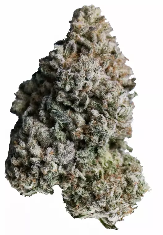 CRQSH MTO 21/1 – Mint OG – Produktbild des Anbieters Dr. Ansay