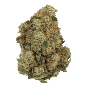 Budza 22/1 WRZ – White Runtz – Produktbild des Anbieters Dr. Ansay
