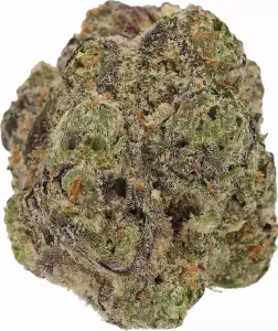 Cannamedical Indica Forte SF – Strawberry Diesel – Produktbild des Anbieters Dr. Ansay