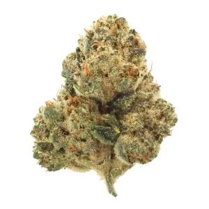 gramz. PP 36/1 – Purple Paris – Produktbild des Anbieters Dr. Ansay