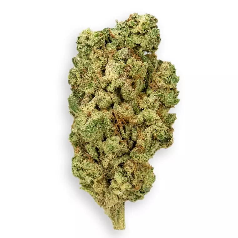 Coyote Valley 20/1 OGP – OG Poison – Produktbild des Anbieters Dr. Ansay