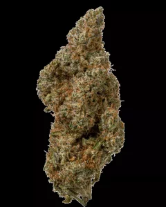 ROOBS ORIGIN FFC 27/1 – Frosted Fruit Cake – Produktbild des Anbieters Dr. Ansay