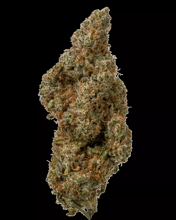 ROOBS ORIGIN FFC 27/1 – Frosted Fruit Cake – Produktbild des Anbieters Dr. Ansay
