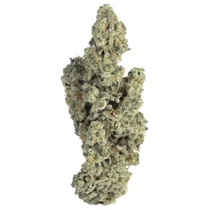 Bathera 33 CA CJ – Cap Junky – Produktbild des Anbieters Dr. Ansay
