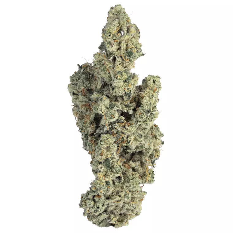 Bathera 33 CA CJ – Cap Junky – Produktbild des Anbieters Dr. Ansay