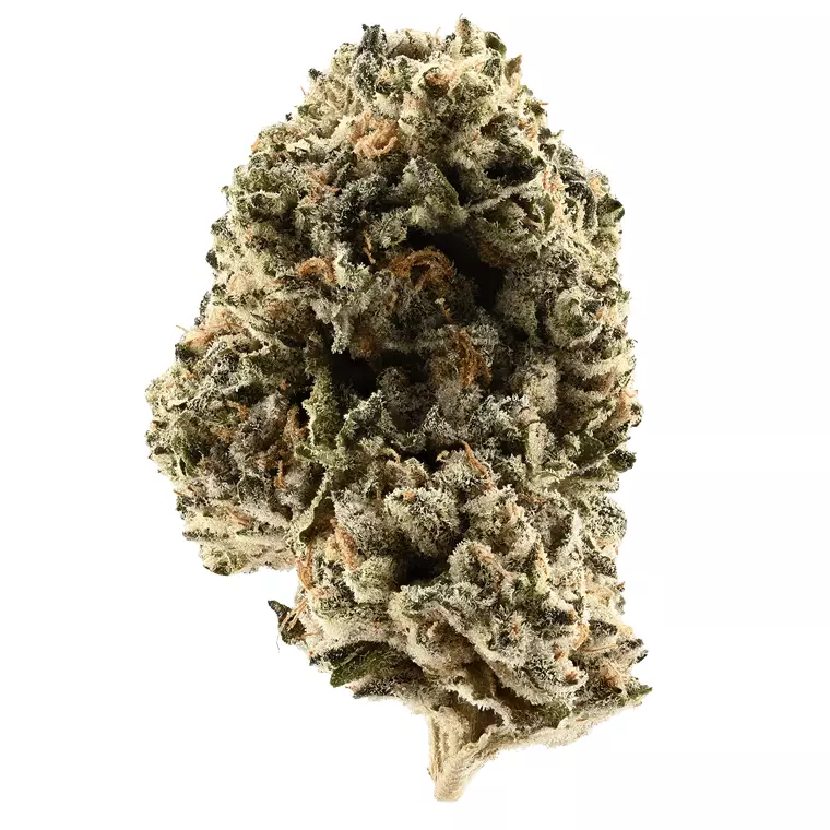 PS NOIR 30:01 Drop – Mint Noir – Produktbild des Anbieters Dr. Ansay