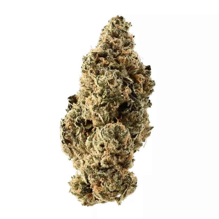 Demecan PS Epic Drop 30/1 – Mintz Kush – Produktbild des Anbieters Dr. Ansay