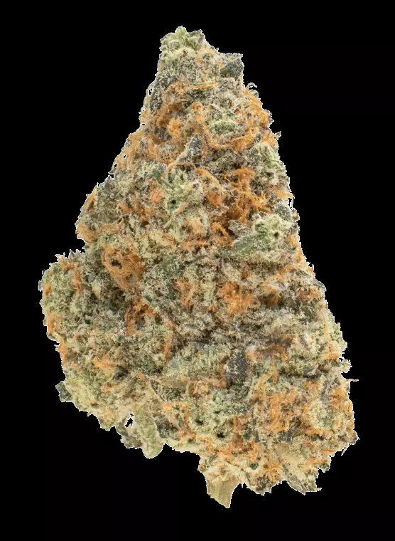 CRQSH JBY 25/1 – Jellyberry – Produktbild des Anbieters Dr. Ansay