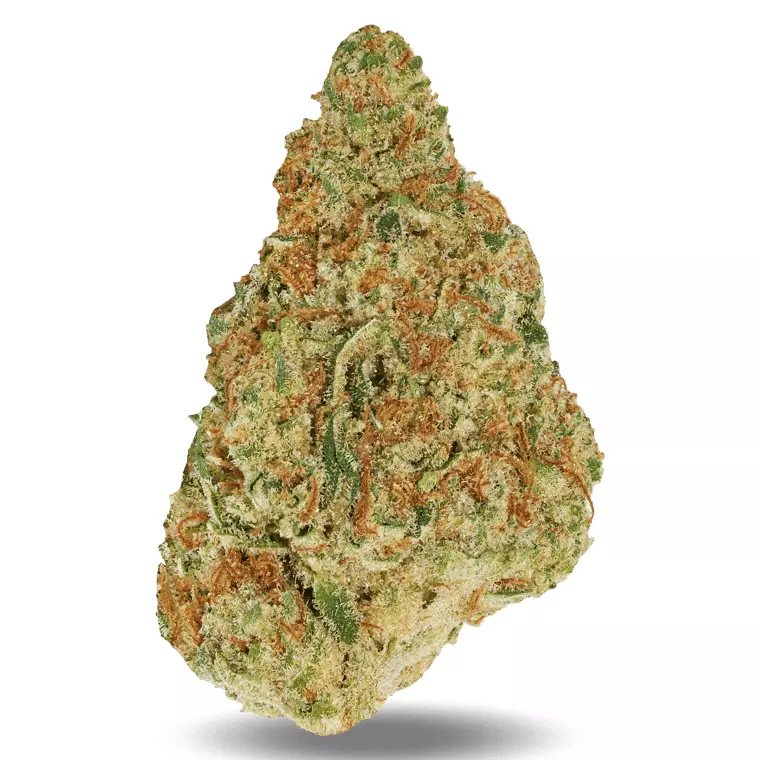 Good Supply Cannabisblüten THC25 NOB – Northern Berry – Produktbild des Anbieters Dr. Ansay