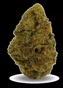 PHENO Cannabisblüten 22/1 BDT – Berry Donuts – Produktbild des Anbieters Dr. Ansay