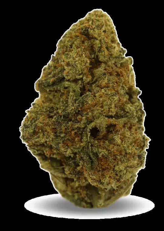 PHENO Cannabisblüten 22/1 BDT – Berry Donuts – Produktbild des Anbieters Dr. Ansay