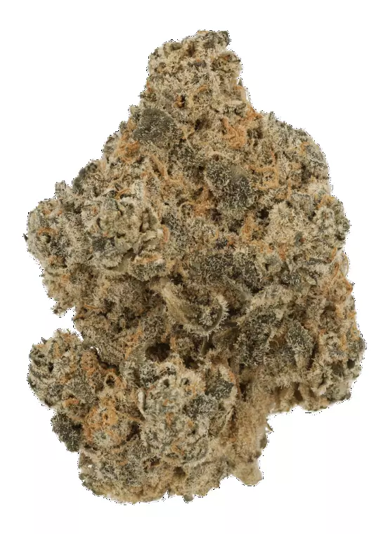 Cannamedical Indica Forte BC – Bubblegum Kush Mintz – Produktbild des Anbieters Dr. Ansay
