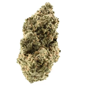 TRUU PS 24:01 – Critical 47 – Produktbild des Anbieters Dr. Ansay