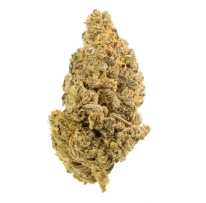 Hi Society BCC 28/1 – Blueberry Cheesecake – Produktbild des Anbieters Dr. Ansay