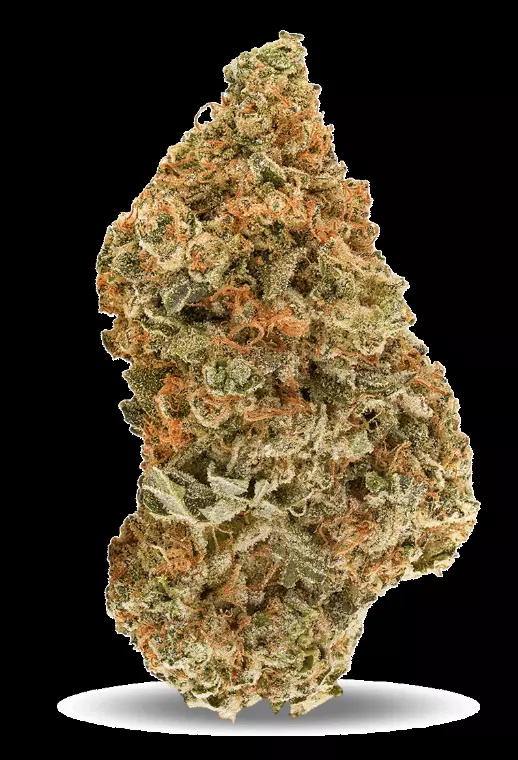 Redecan Cannabisblüten THC28 SAC – Space Age Cake – Produktbild des Anbieters Dr. Ansay