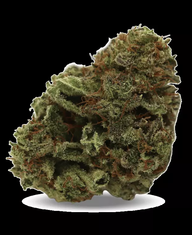 Good Supply Cannabisblüten THC22 LLD – Lilac Diesel – Produktbild des Anbieters Dr. Ansay