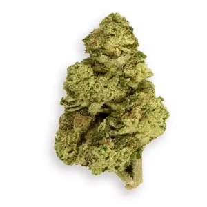 Coyote Valley 24/1 DDG – Drizl Dawg – Produktbild des Anbieters Dr. Ansay