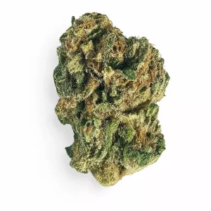 Coyote Valley 22/1 MAP – Maple – Produktbild des Anbieters Dr. Ansay