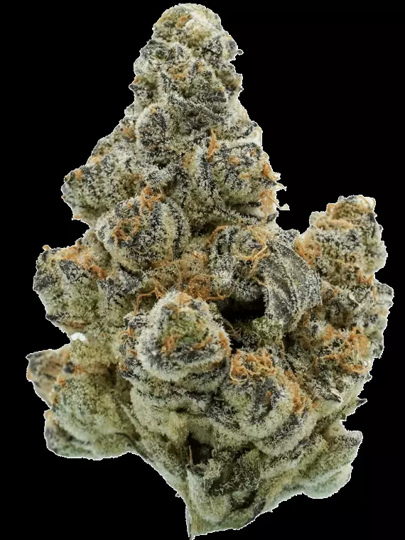 Tweed FDF 33 – Frosted Flakes (Cereal Milk x Mac 1) – Produktbild des Anbieters Dr. Ansay