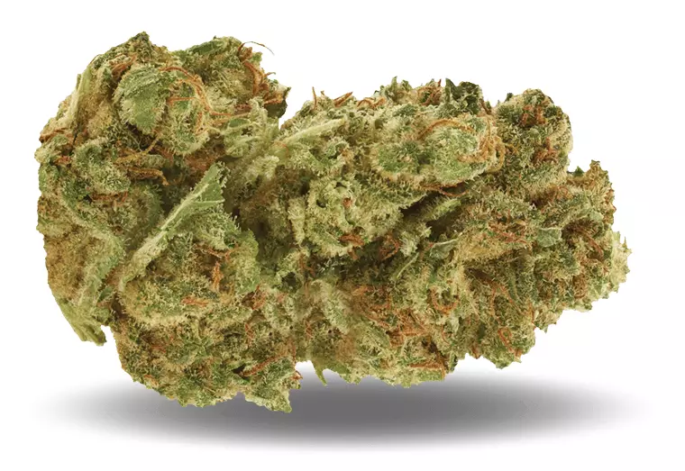 PHENO Cannabisblüten 18/1 STK – Starwalker Kush – Produktbild des Anbieters Dr. Ansay
