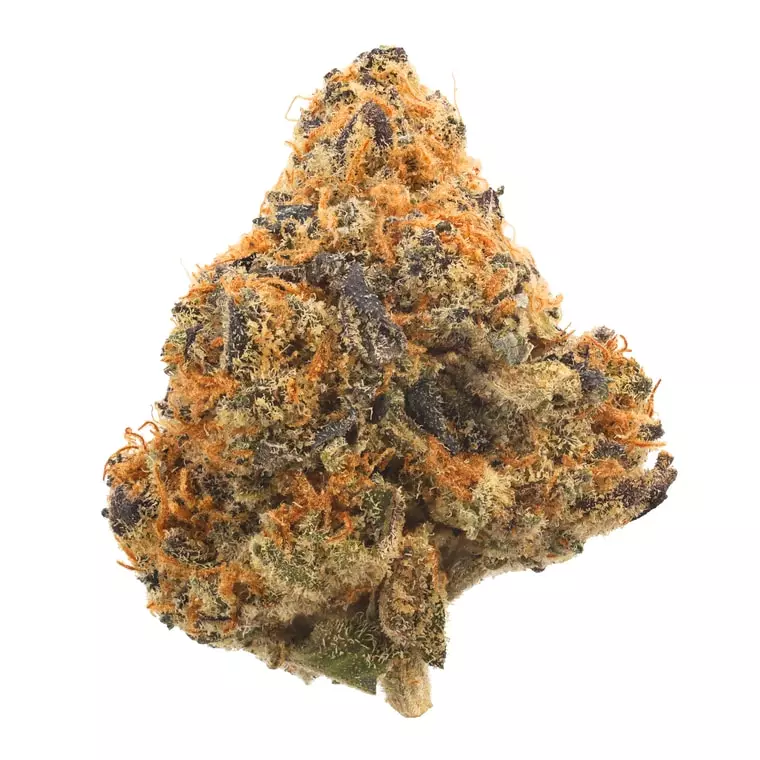gramz. 003 – GLND 27/1 – Gelonade – Produktbild des Anbieters Dr. Ansay
