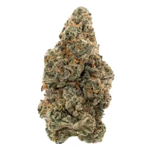 Demecan BB Regular Drop 25/1 Moonbow x Planet Purple – Crossbow – Produktbild des Anbieters Dr. Ansay